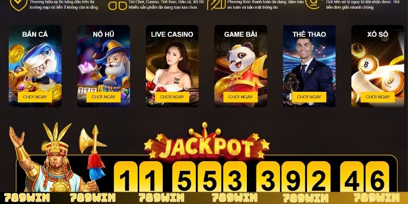 Giới thiệu tổng quan về thương hiệu nhà cái 789Win